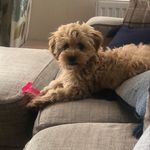 Kathy Munro - @kathymunro66 - Instagram