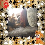 Kathy Muro Ellison - @cupcake1759 - Instagram