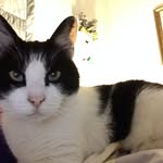 Kathy Murrin - @yummymummy9876 - Instagram