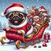 Kathy Myer - Facebook