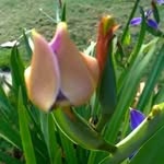 Kathy Myrick - @kathy.myrick.71 - Instagram
