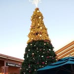 Kathy Myus - @kathymyus688.com2022 - Instagram