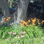 Kathy Nason - @kathynason9 - Instagram