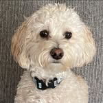 Kathy Nau - @nau2829 - Instagram