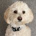 Kathy Nau - Facebook