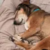 kathynaugle0 - @kathynaugle0 - TikTok