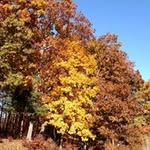 Kathie Nault - @redhed9657 - Instagram