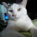 Kathy Nault - Facebook