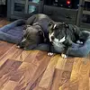 Kathy Neace Ford - @kathy.neace.ford - TikTok