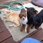Kathy Negrete - @kookoowatchie - Instagram