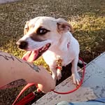 Kathy Neilson - @adventures_of_joon - Instagram