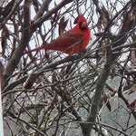 Kathy Nelms Eaton - @eatonx2 - Instagram