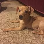 Kathy Nesbit - @nesbit2971 - Instagram