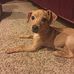 Kathy Nesbit - Facebook