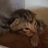Katy - @katynettleton - TikTok