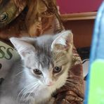 Kathy Neubauer - Facebook