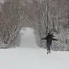 kathyneubauer3 - @kathyneubauer3 - TikTok