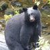 Kathy Newstead - Facebook