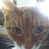 Kathy Newswander - @krazykatlady62 - TikTok