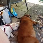 Kathy Nicely - @1912eden - Instagram