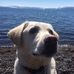 Kathy Nicholas - Facebook