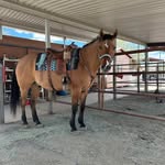 Kathy Spivey-Noah - @usmcgma - Instagram