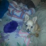 kathy red nobles - @me_kathy_red - Instagram