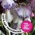 Kathy Nokes - Facebook