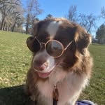 Katherine Northrup - @foxrup - Instagram