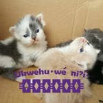 Kathy Null - @rezgal5142 - Instagram