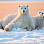 Kathy Nuttall - @66polarbear99 - Instagram