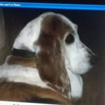 Kathy O'Bryan - @rasputia1954 - Instagram