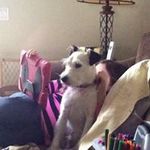 Kathy Keolker Ochs - @kathykeolker - Instagram