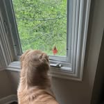 Kathy O'Connell - @kathy.oconnell.568 - Instagram