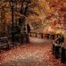 Kathy O'Connell - Facebook