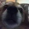 Kathy Olson - @kathy.olson1 - TikTok