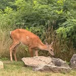 Kathy Olson - @kathy.olson.9887 - Instagram