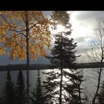 Kathy Olson - @olson.kathy - Instagram