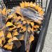 Kathy Orange Clove Primitives - Facebook