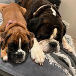 Kat Hi - @kathy.otto.39 - Instagram
