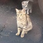 Kathy Ottinger - @kathy.ottinger.543 - Instagram