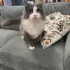 kathyotten2 - @tyfgyttghost - TikTok