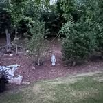 Kathleen Kathy Overman - @kathy.overman - Instagram