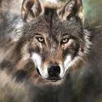 Kathy Packer - Facebook
