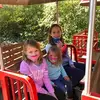 Kathy Brown Padgett - @kathybrownpadgett - TikTok