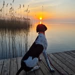 Kathy Pape - @kathypape2405 - Instagram