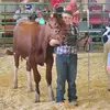 Kathy Papesh - @kathy.papesh - TikTok