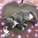 Kathy Pappert - Facebook