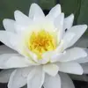 kathyparente651 - @kathyparente651 - TikTok