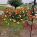 Kathy Parish - Facebook